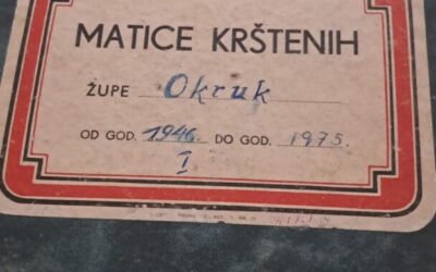 IGNACIJE RADIĆ – LIK I DJELA